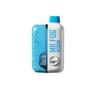 Blueberry Must Mr Fog Switch SW15000 Puffs Disposable Vape