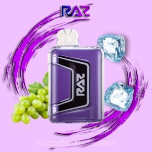 Grape Ice Raz TN9K Disposable Vape