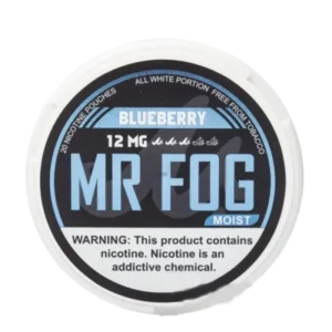 Moist Blueberry Mr Fog Nicotine Pouches