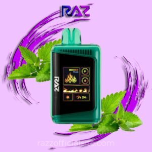 Jewel Spearmint Raz Vape – DC25K