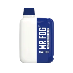 MR FOG SWITCH 5500 PUFFS PINEAPPLE BLUEBERRY KIWI ICE