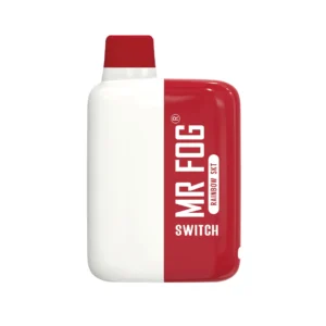 Rainbow Skt Mr Fog Switch 5500 Puffs Disposable Vape
