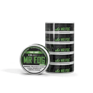 Moist Cool Mint Mr Fog Nicotine Pouches
