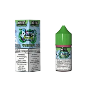 Watermelon Berry Steezy Mr Fog Salt E-Liquid - 30ml